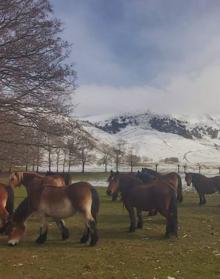 Imagen secundaria 2 - Tres vistas de Urbia este miércoles.