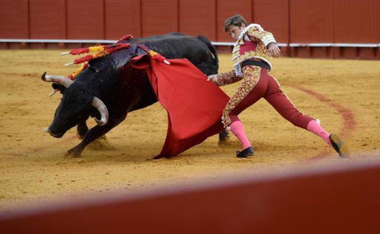 Presencia audiovisual