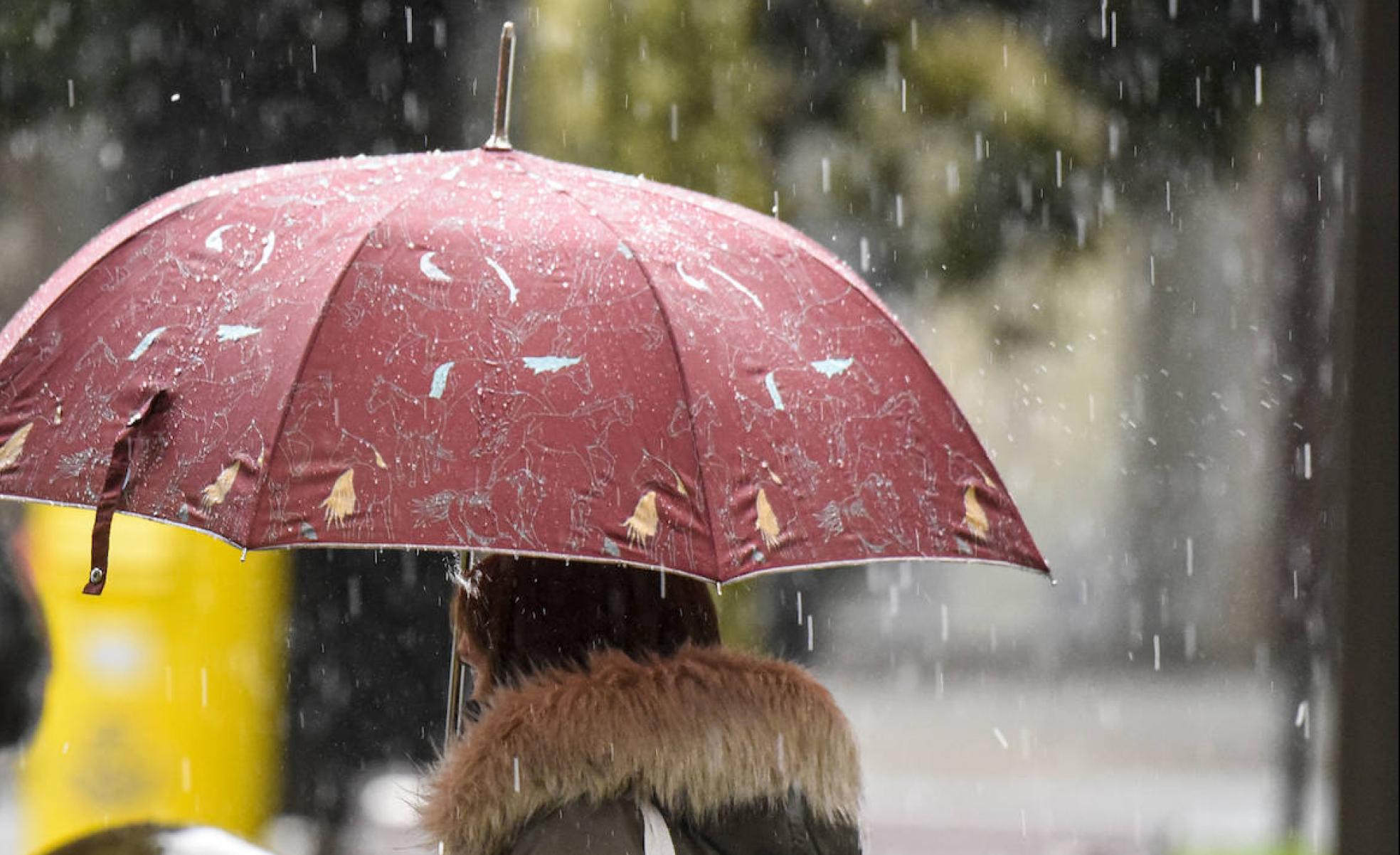 Coronavirus: Gipuzkoa, cerca de registrar la tasa de incidencia más alta del año