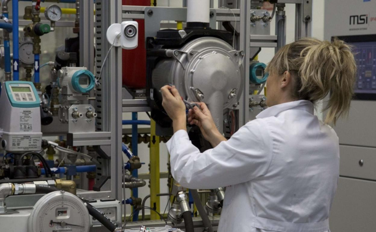 Paro: Gipuzkoa vuelve al empleo precovid incluso sin contar los que están en ERTE