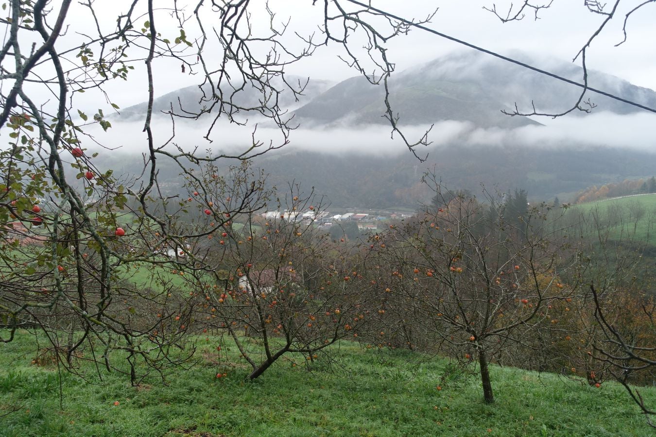 Fotos: Herniozabal, tras los pasos de Santa Cruz