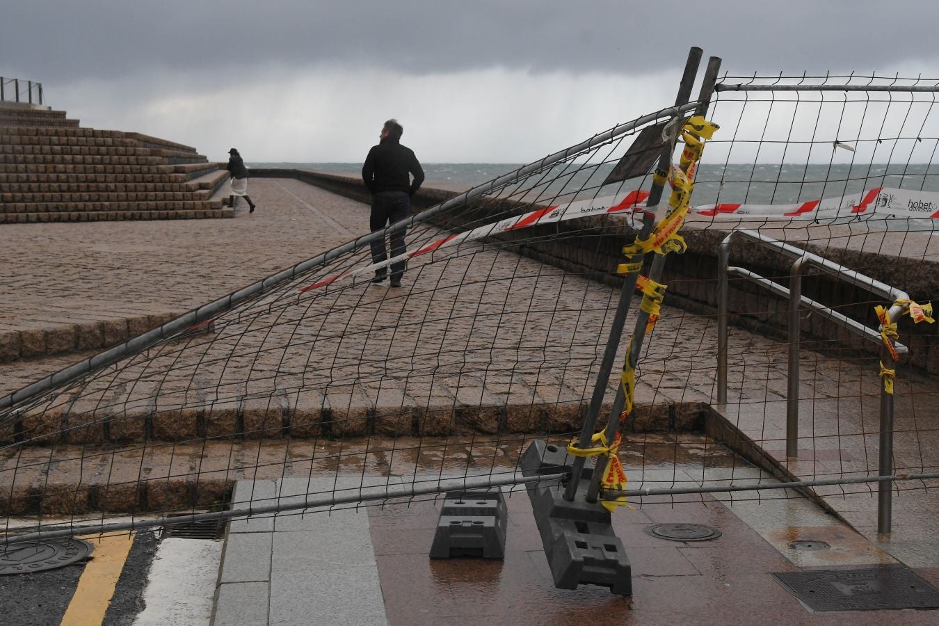 Contenedores volcados, árboles caídos... el temporal se está dejando sentir con fuerza en el territorio en las últimas horas