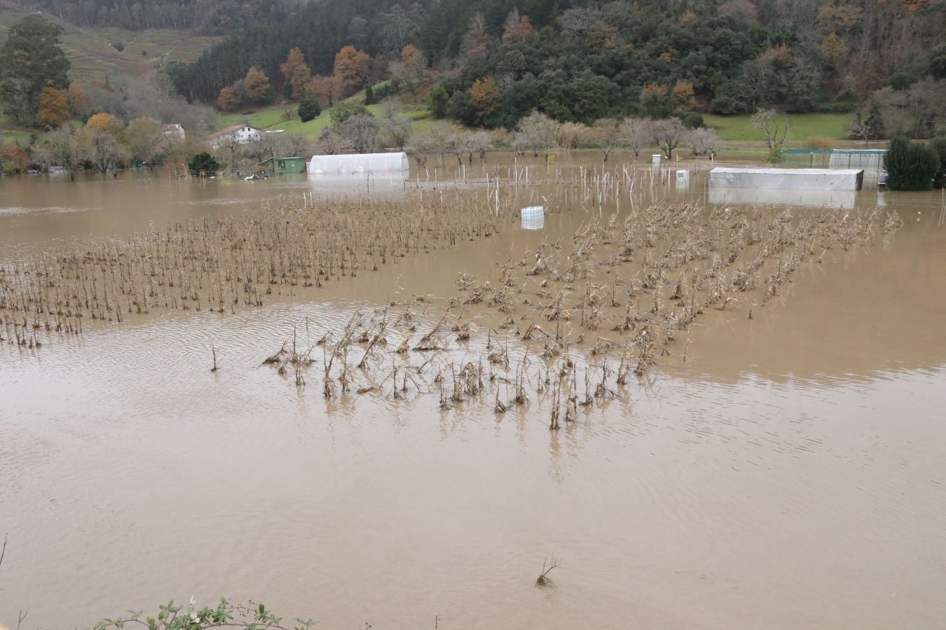 Fotos: Inundaciones en Deba por la crecida del río