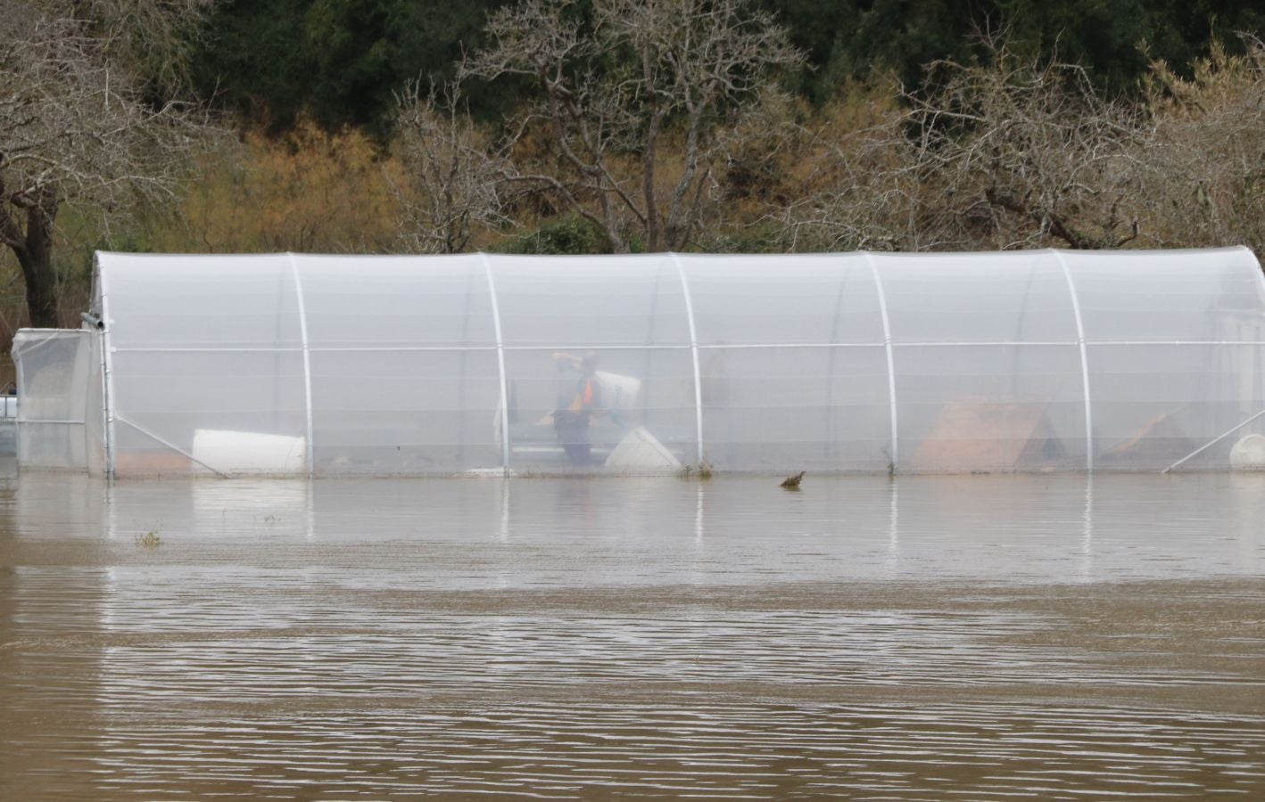 Fotos: Inundaciones en Deba por la crecida del río
