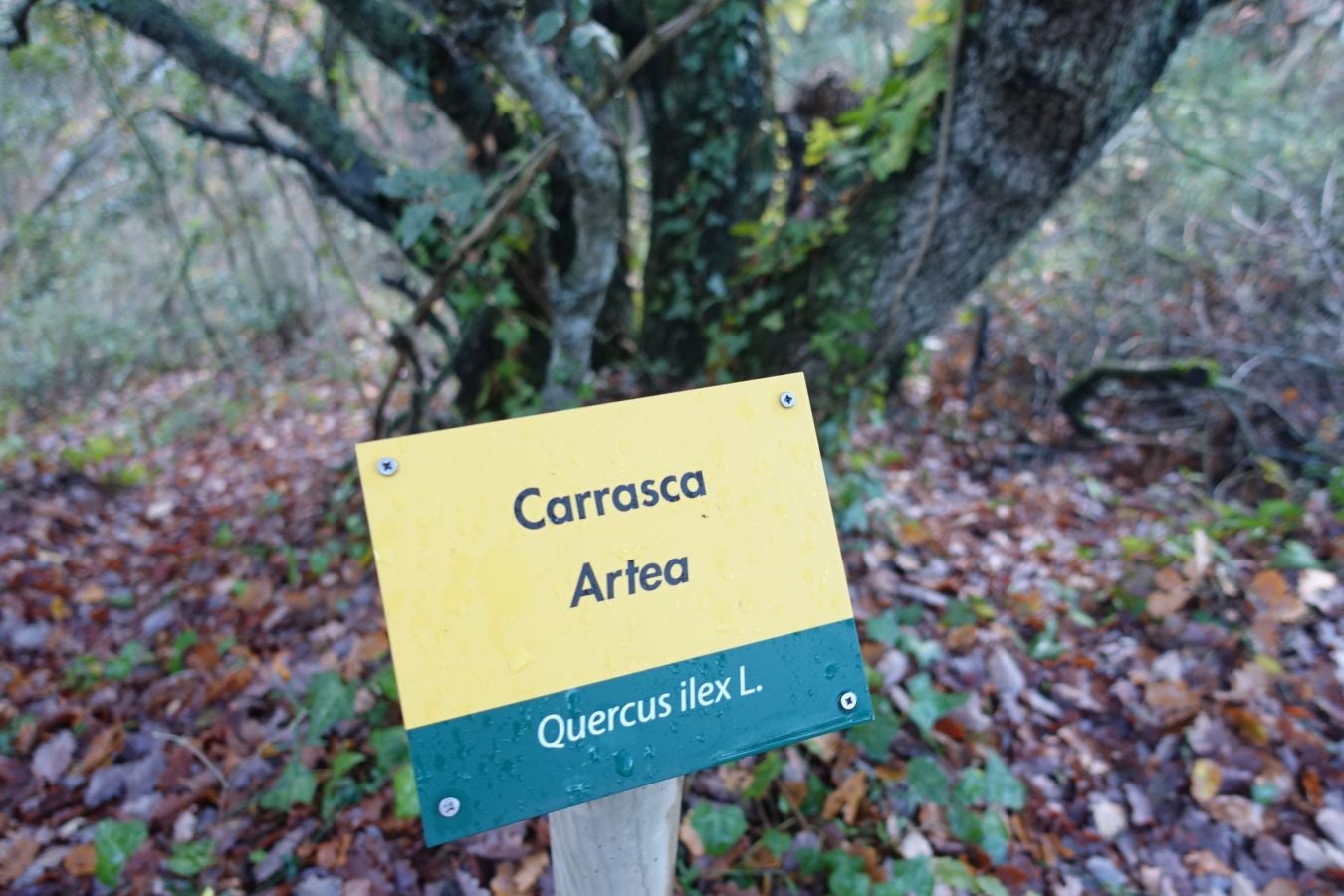 Fotos: Arteta, el poder del agua marca el ritmo