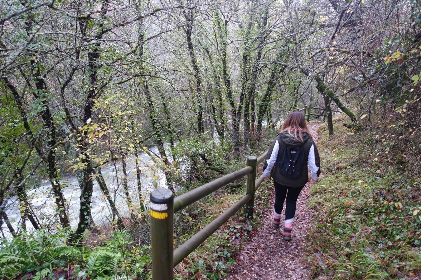 Fotos: Arteta, el poder del agua marca el ritmo