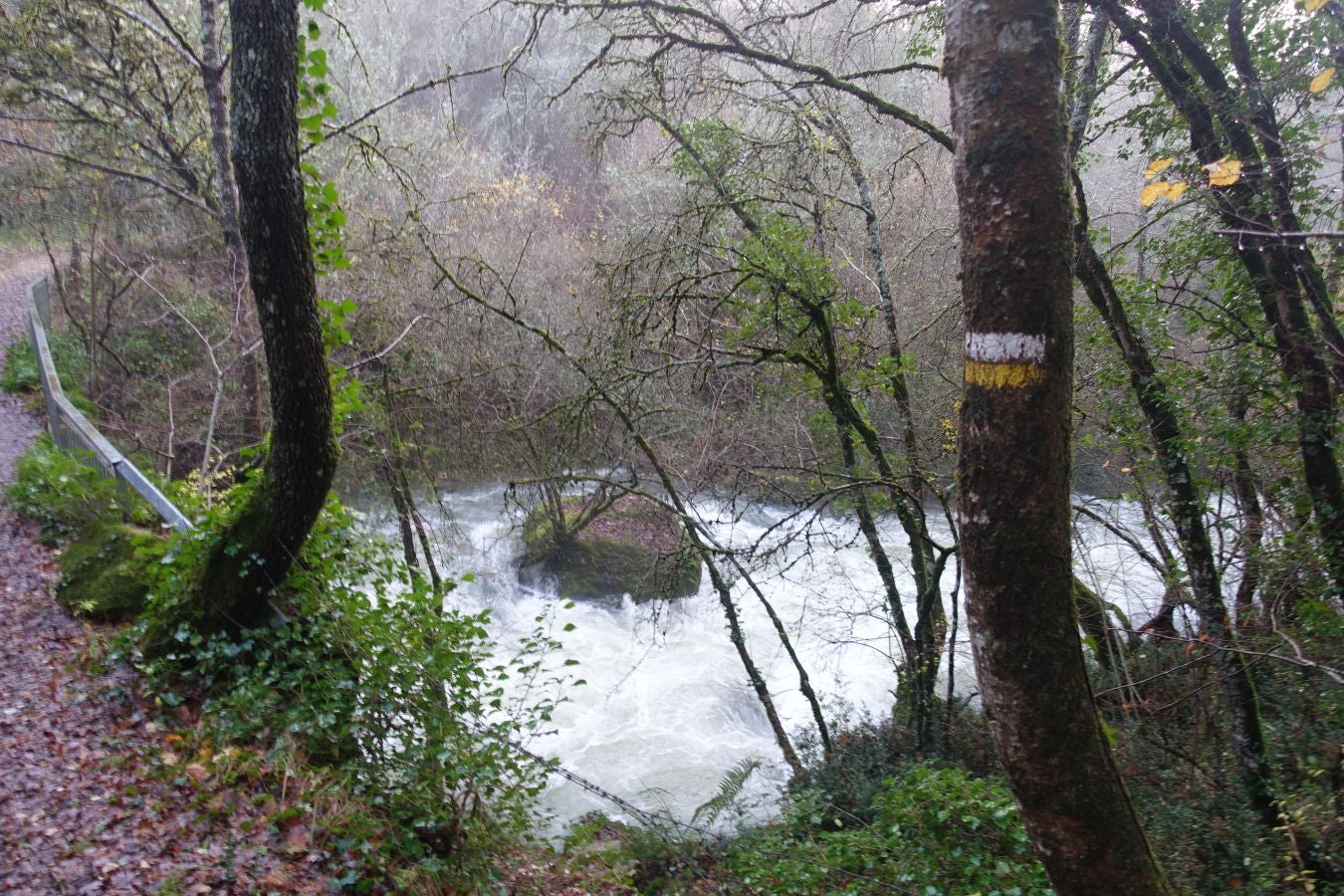 Fotos: Arteta, el poder del agua marca el ritmo