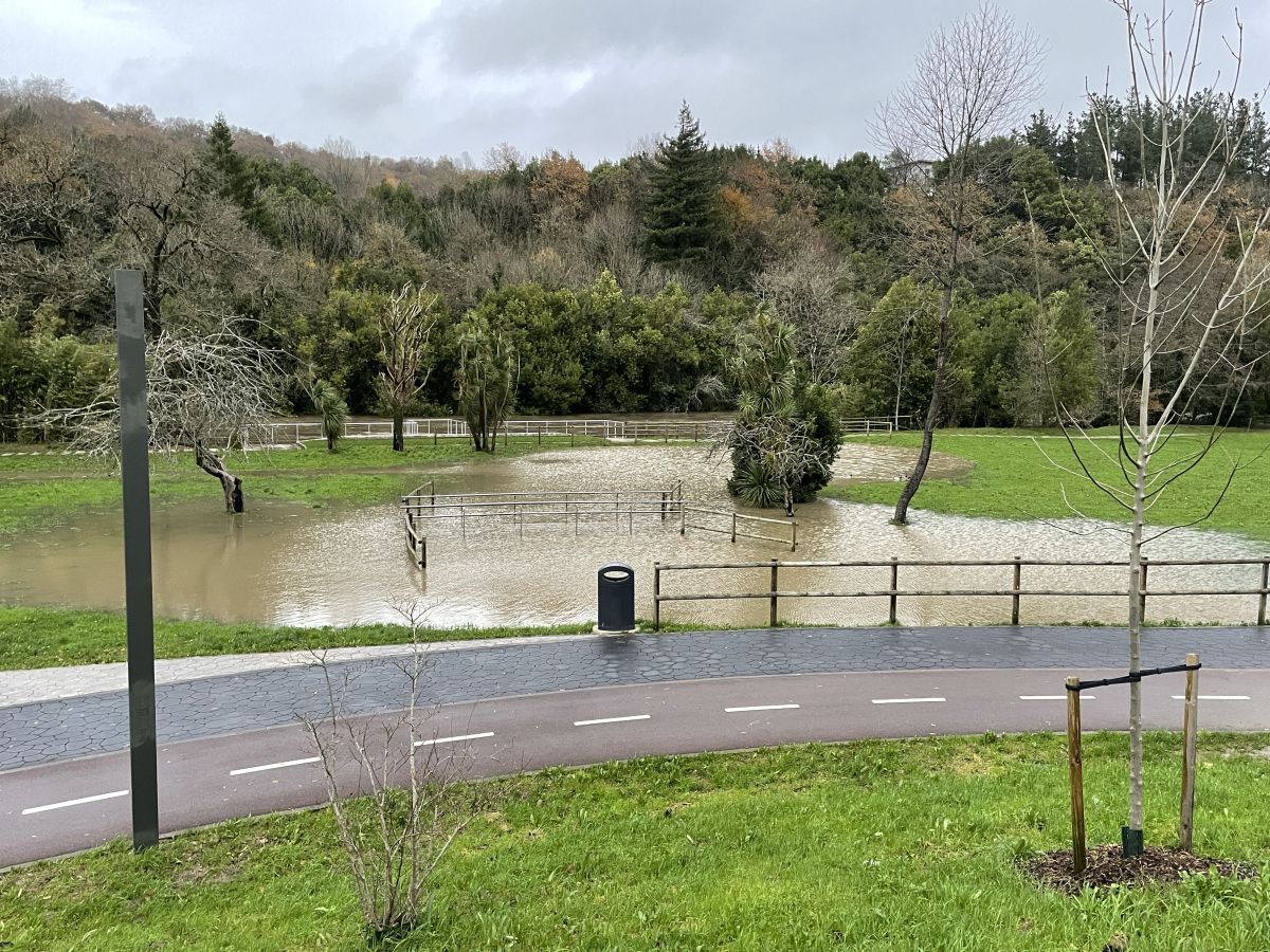 Fotos: Inundaciones en el barrio de Txomin por el desbordamiento del Urumea