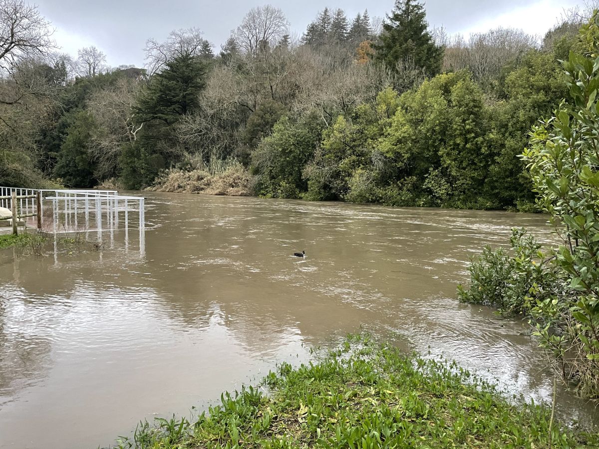 Fotos: Inundaciones en el barrio de Txomin por el desbordamiento del Urumea