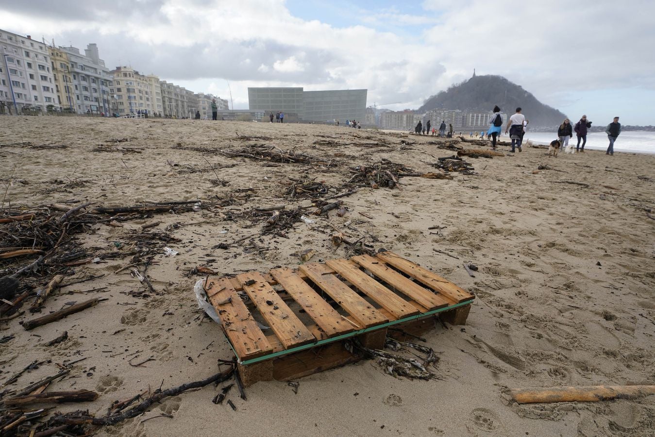 El arenal de la Zurriola se ha cubierto de troncos tras el paso de la borrasca 'Barra'.