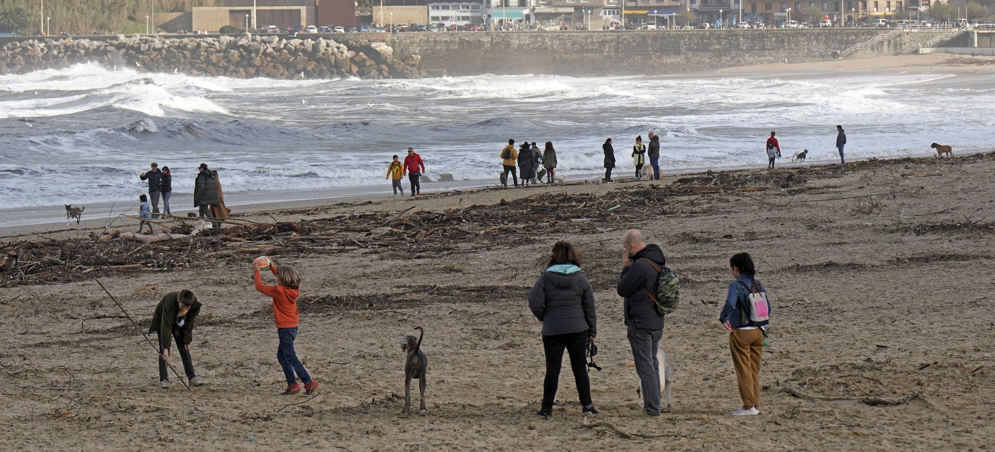 El arenal de la Zurriola se ha cubierto de troncos tras el paso de la borrasca 'Barra'.