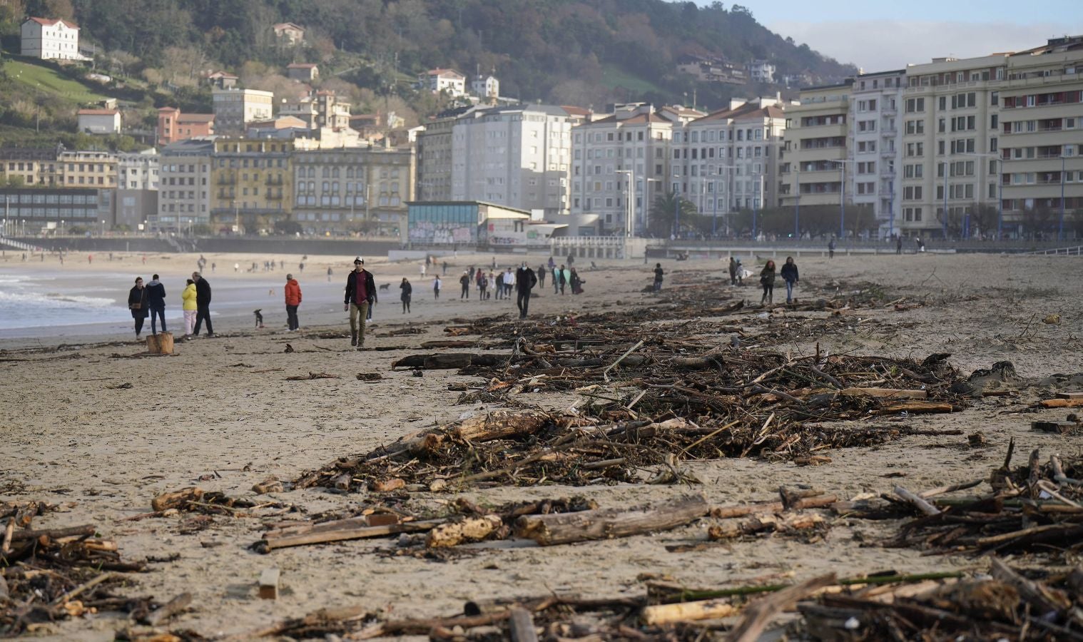 El arenal de la Zurriola se ha cubierto de troncos tras el paso de la borrasca 'Barra'.