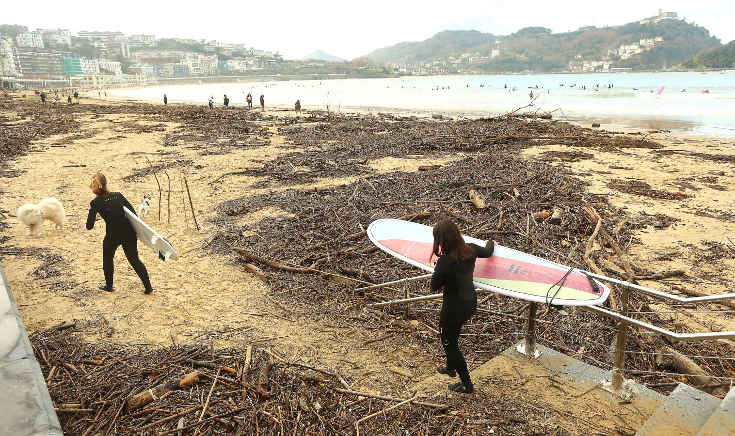 Surfeando ramas en La Concha.