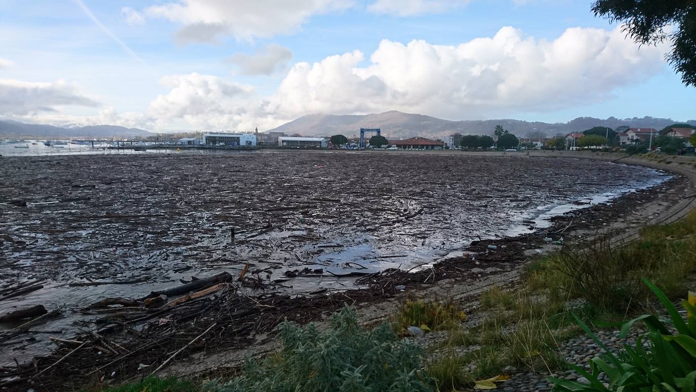 La bahía de Hendaia, plagada de ramas y troncos este domingo