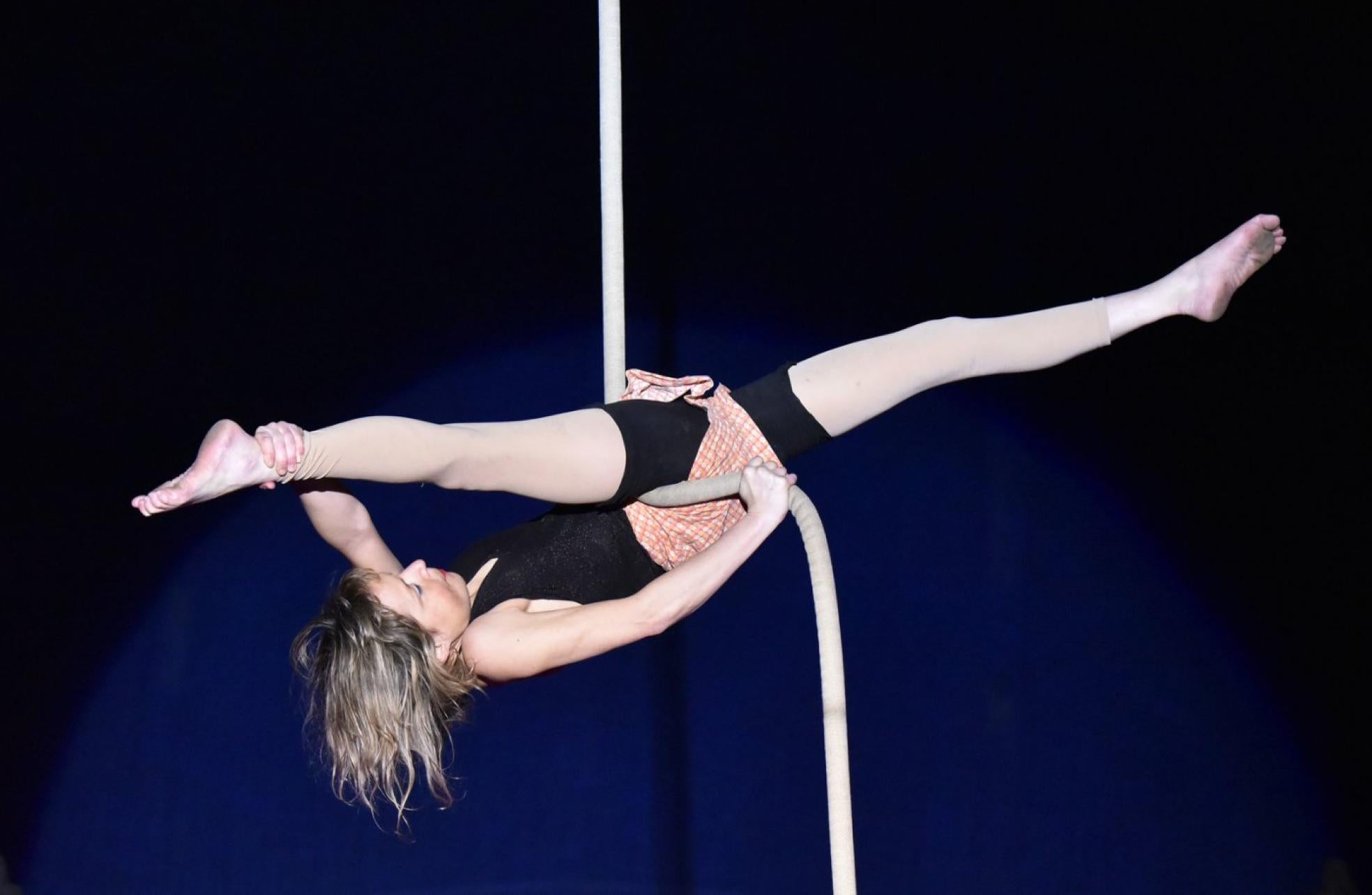 El circo ha instalado su carpa en el barrio San Esteban y ofrecerá actuaciones hasta el 4 de enero. 