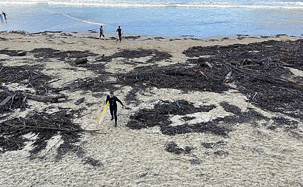 Imagen. Restos del temporal en las playas guipuzcoanas. 