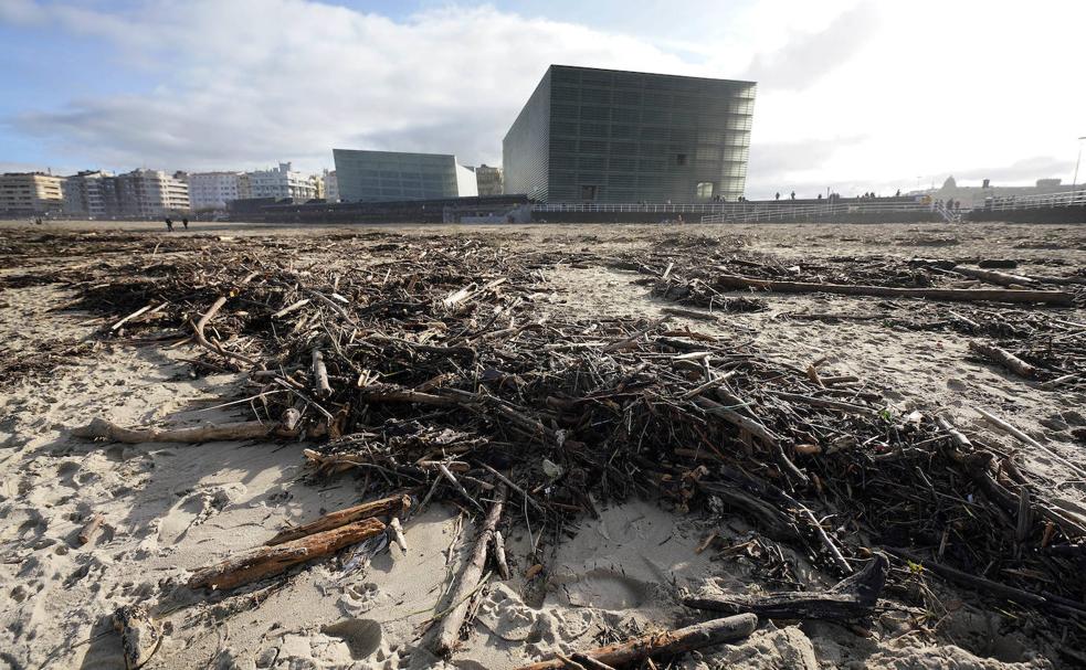 Foto: Estado de la playa de La Zurriola este mediodía. / Vídeo: Suciedad esta mañana en las playas donostiarras. 