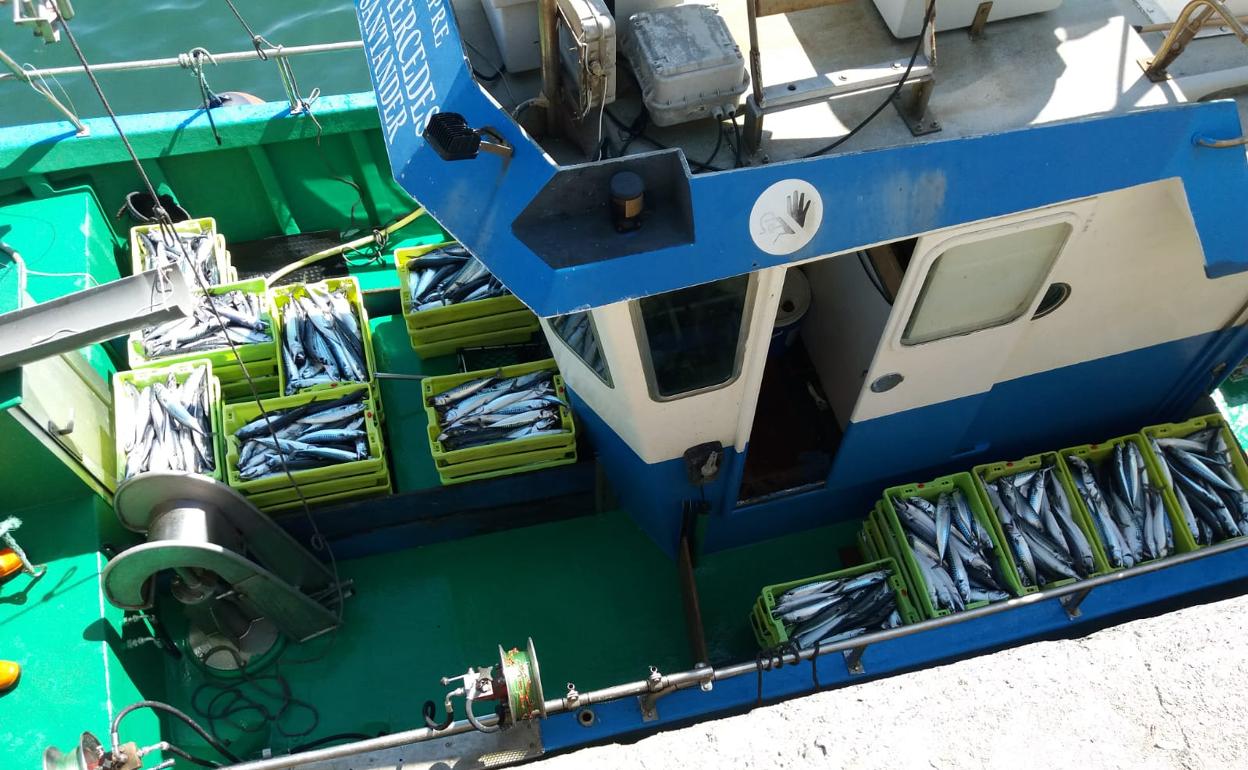 ¿Cómo ha sido 2021 para la pesca de bajura?