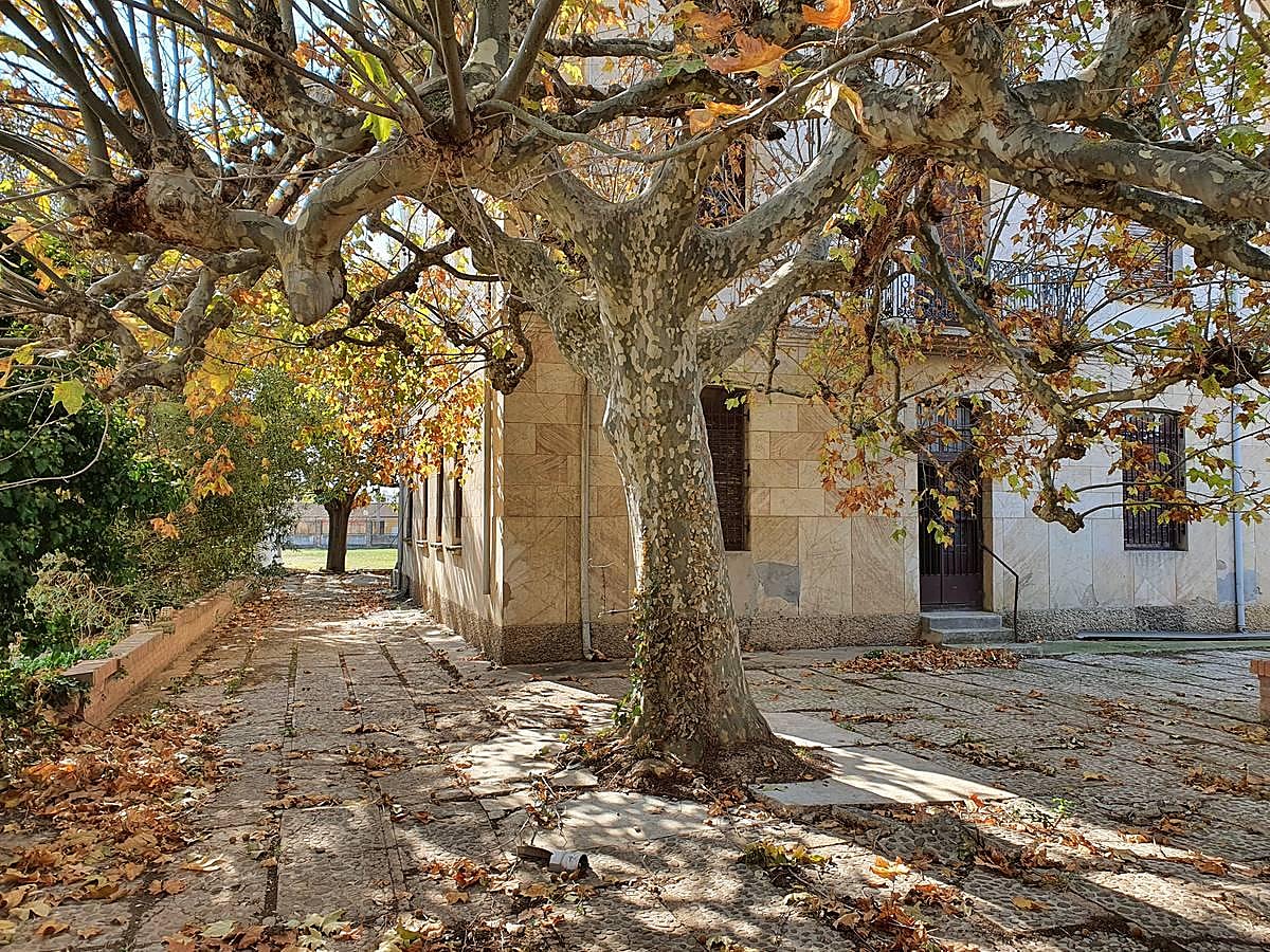 Fotos: Caserío en Peralta