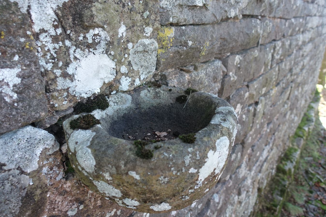 Fotos: Ipuliño, con la vista perdida en el cielo