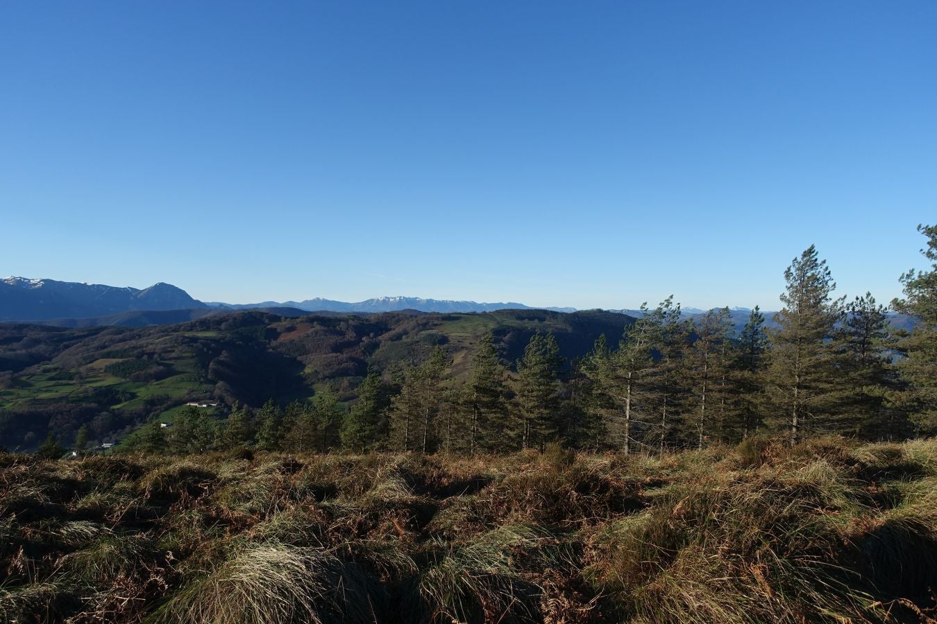 Fotos: Ipuliño, con la vista perdida en el cielo