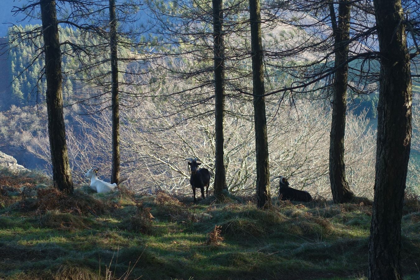 Fotos: Ipuliño, con la vista perdida en el cielo