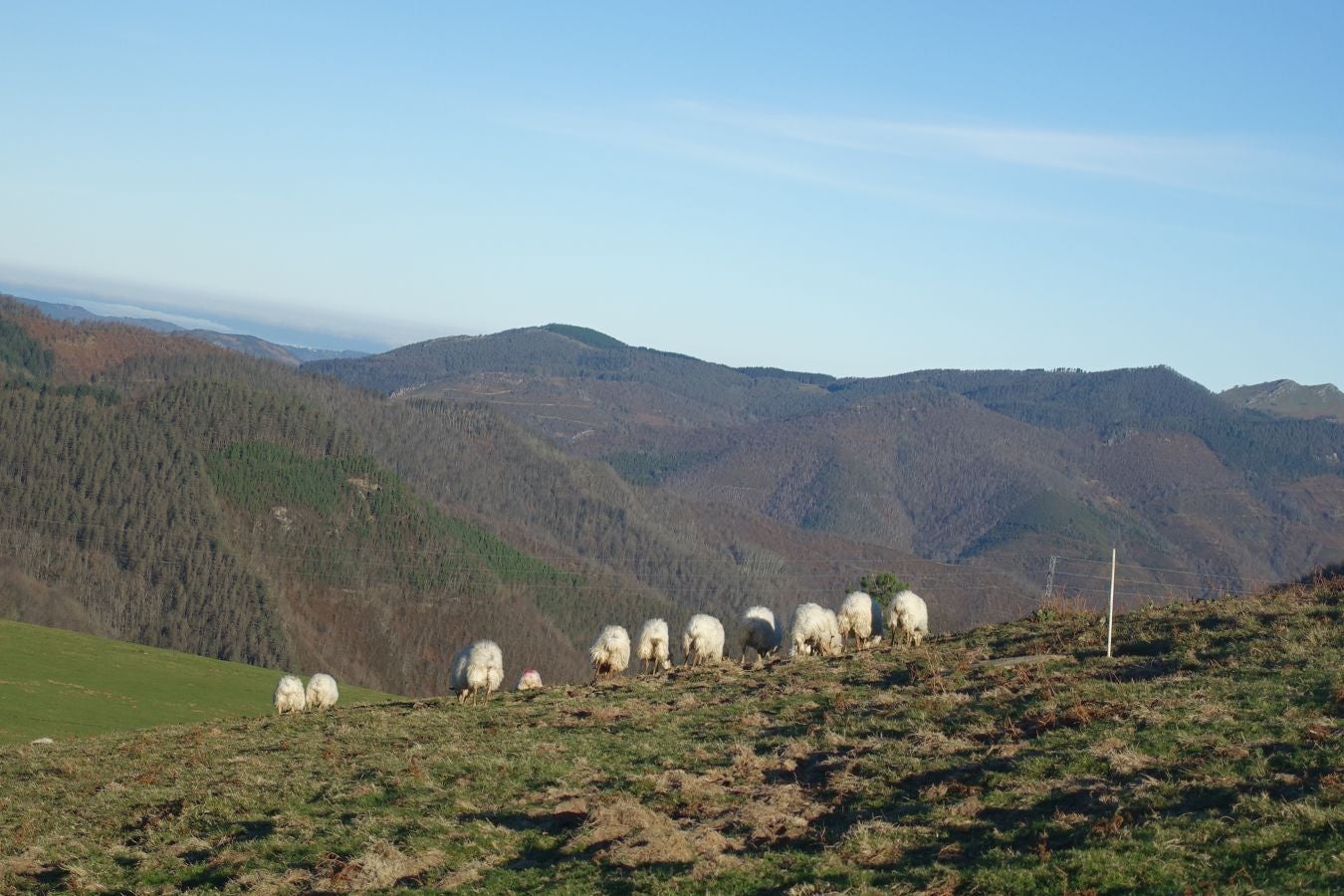 Fotos: Ipuliño, con la vista perdida en el cielo