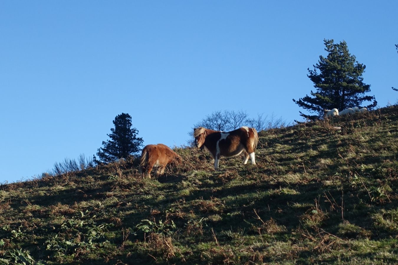 Fotos: Ipuliño, con la vista perdida en el cielo