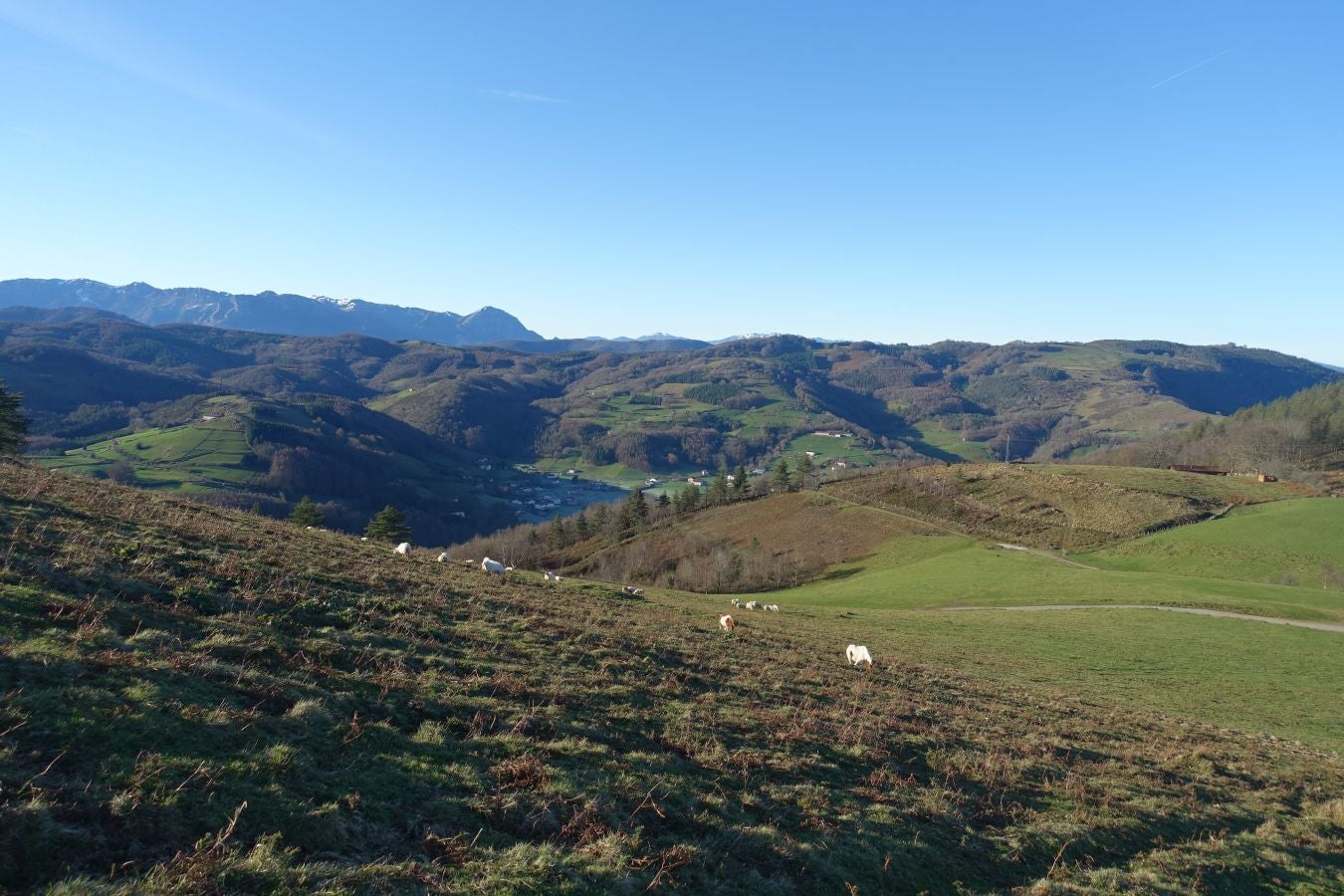Fotos: Ipuliño, con la vista perdida en el cielo