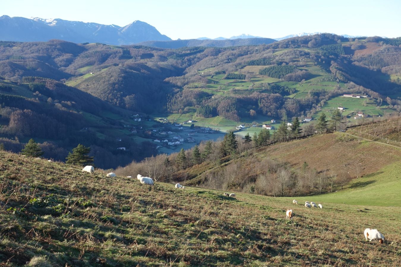Fotos: Ipuliño, con la vista perdida en el cielo