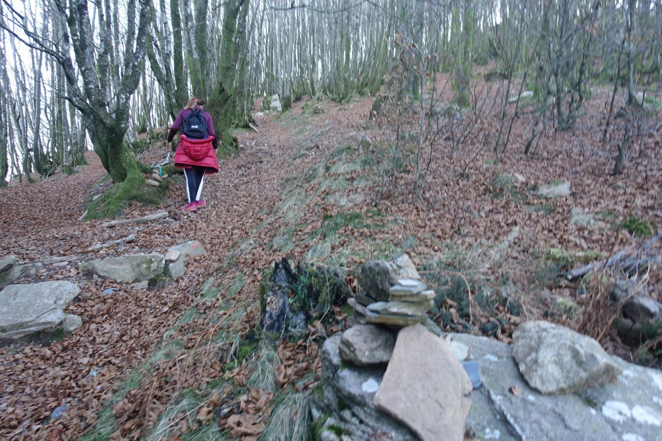 Fotos: Ipuliño, con la vista perdida en el cielo