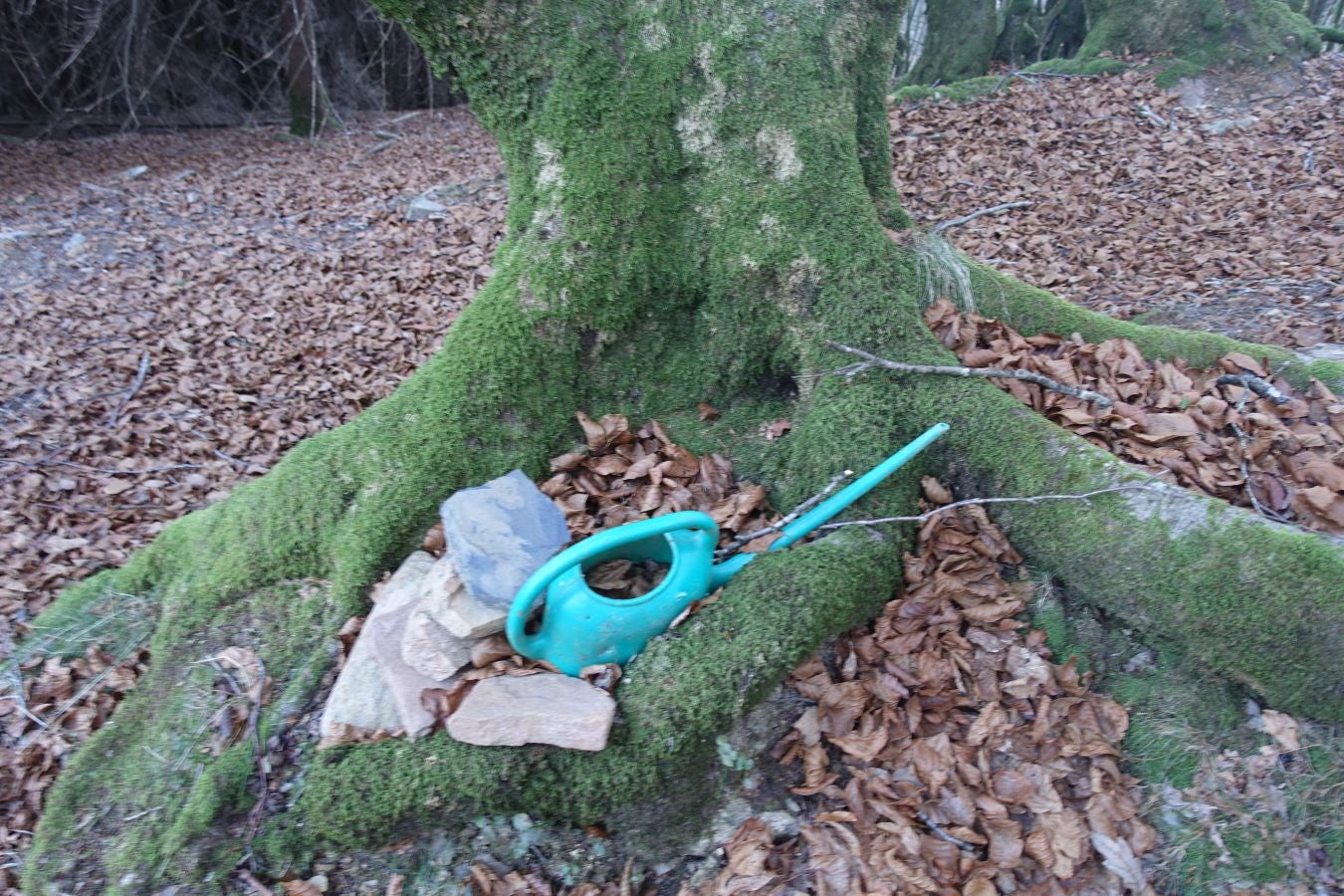 Fotos: Ipuliño, con la vista perdida en el cielo