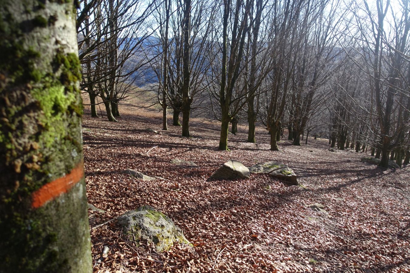 Fotos: Ipuliño, con la vista perdida en el cielo
