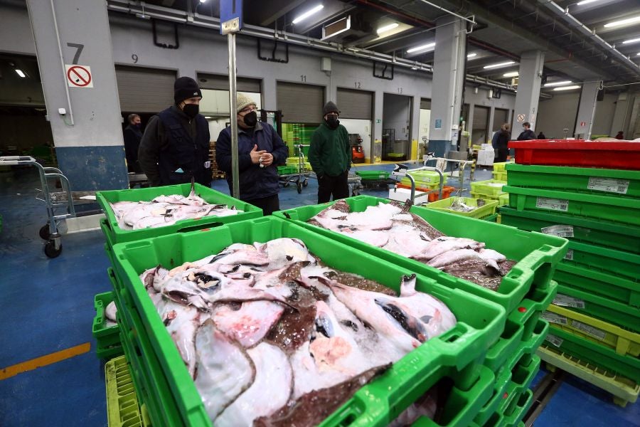 Fotos: Las dudas llegan a la lonja de pescado