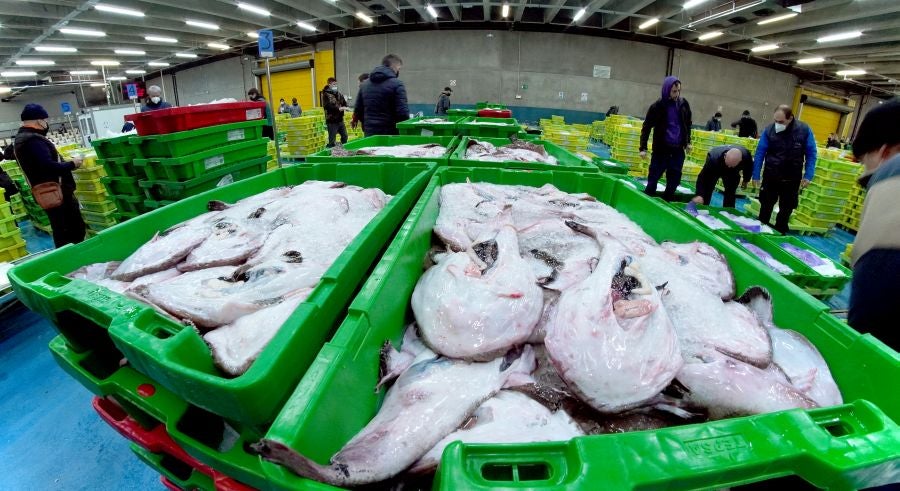 Fotos: Las dudas llegan a la lonja de pescado