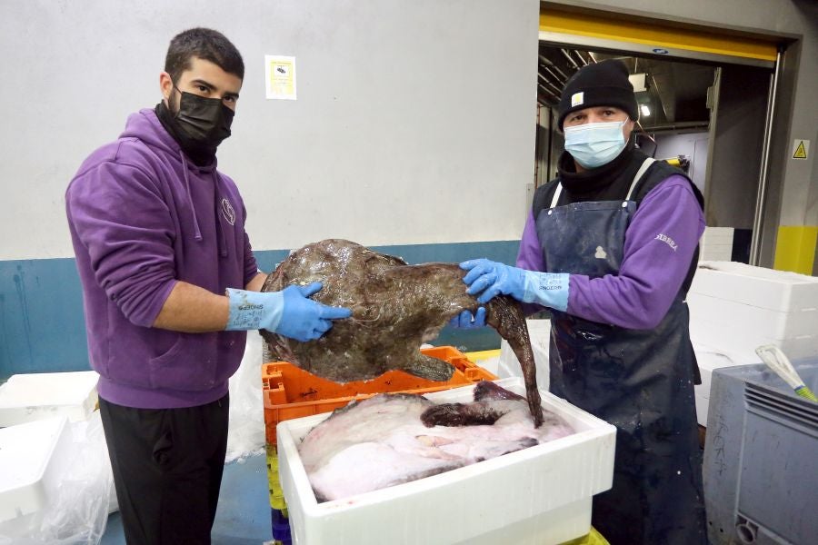 Fotos: Las dudas llegan a la lonja de pescado