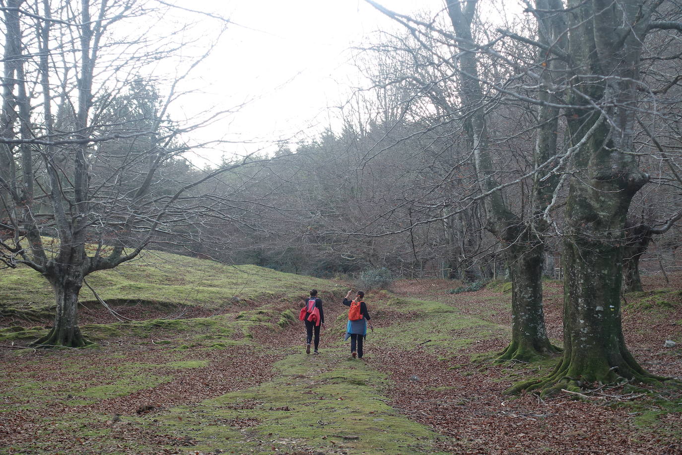 Fotos: Balerdi. El cobijo invernal de Hegoi