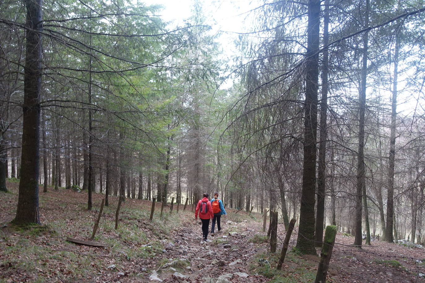 Fotos: Balerdi. El cobijo invernal de Hegoi