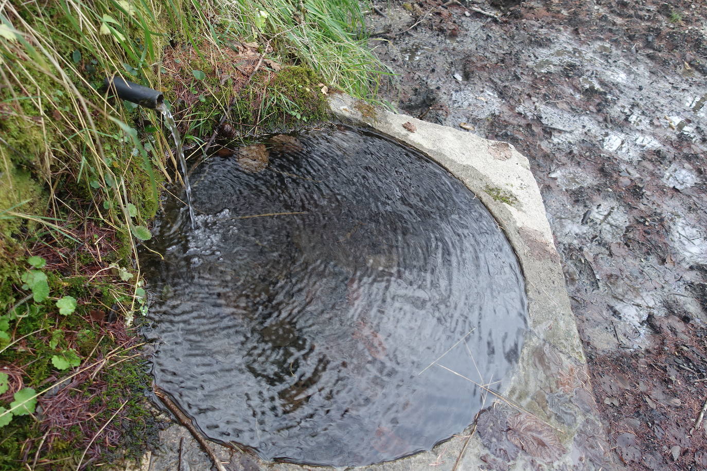 Fotos: Balerdi. El cobijo invernal de Hegoi