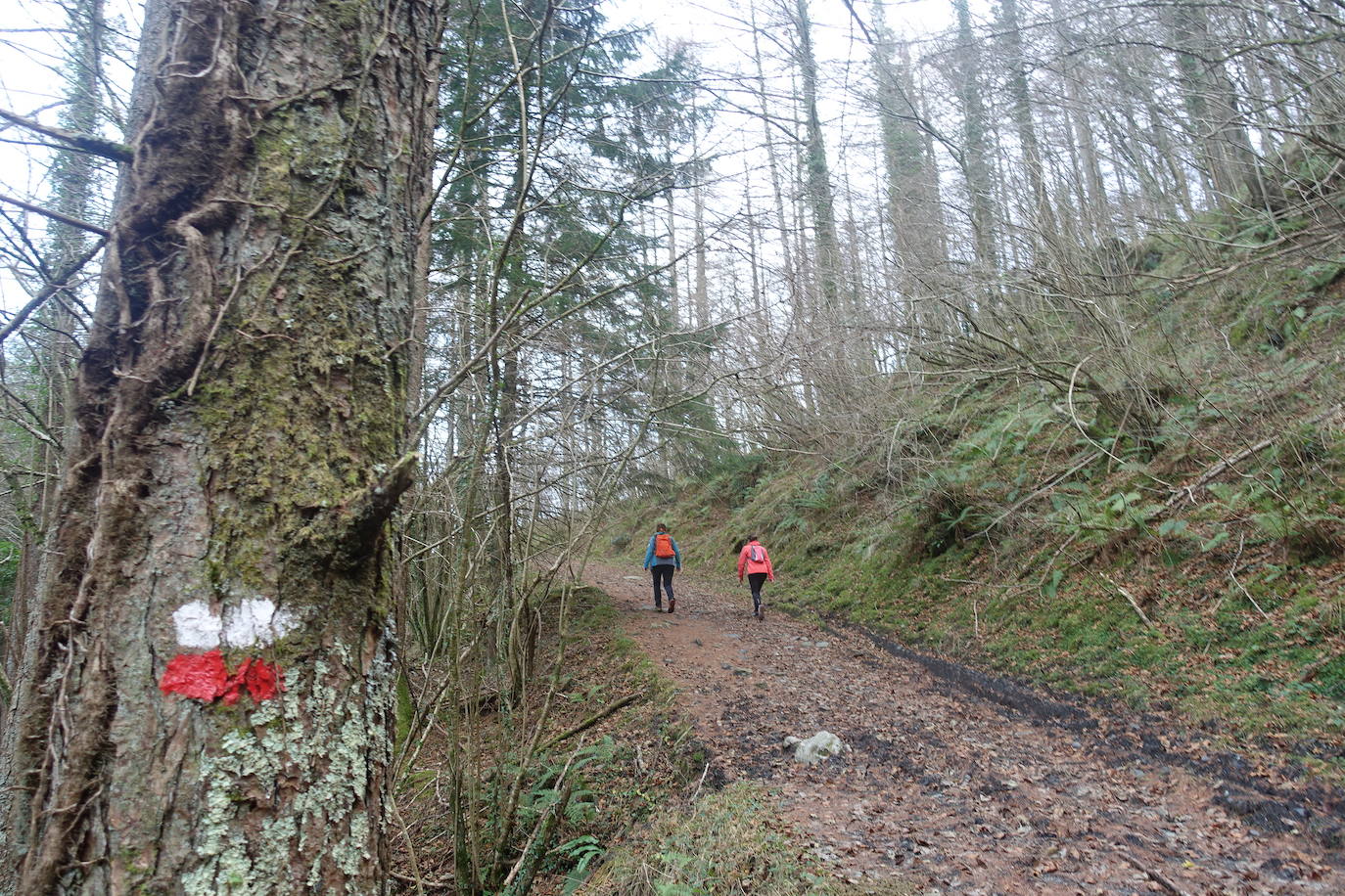 Fotos: Balerdi. El cobijo invernal de Hegoi