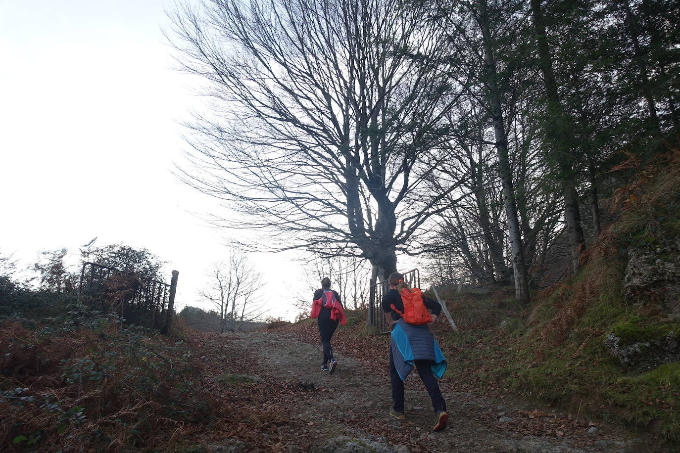 Fotos: Balerdi. El cobijo invernal de Hegoi