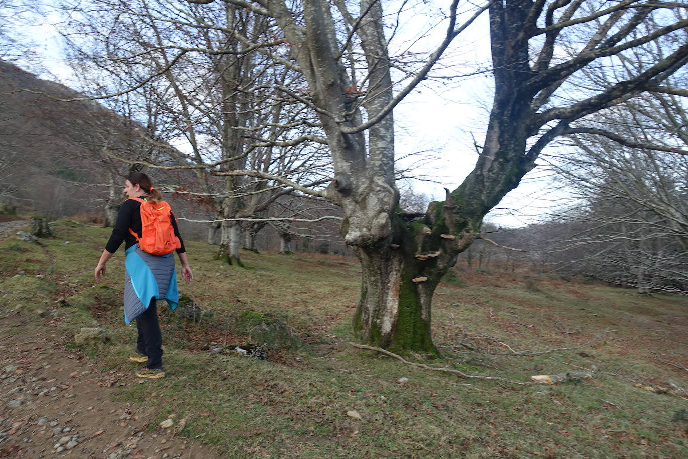 Fotos: Balerdi. El cobijo invernal de Hegoi