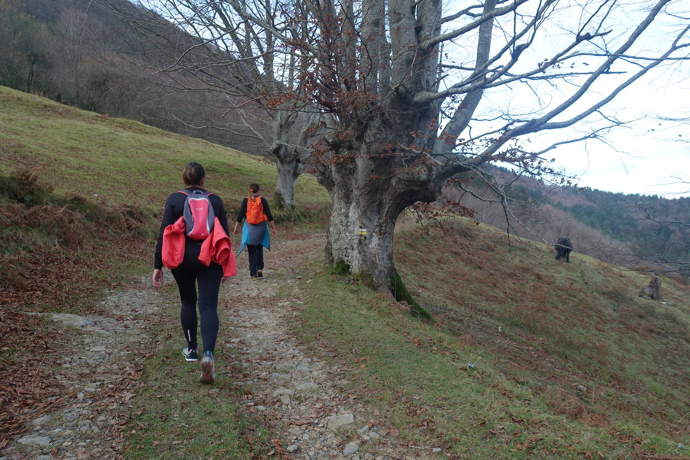 Fotos: Balerdi. El cobijo invernal de Hegoi