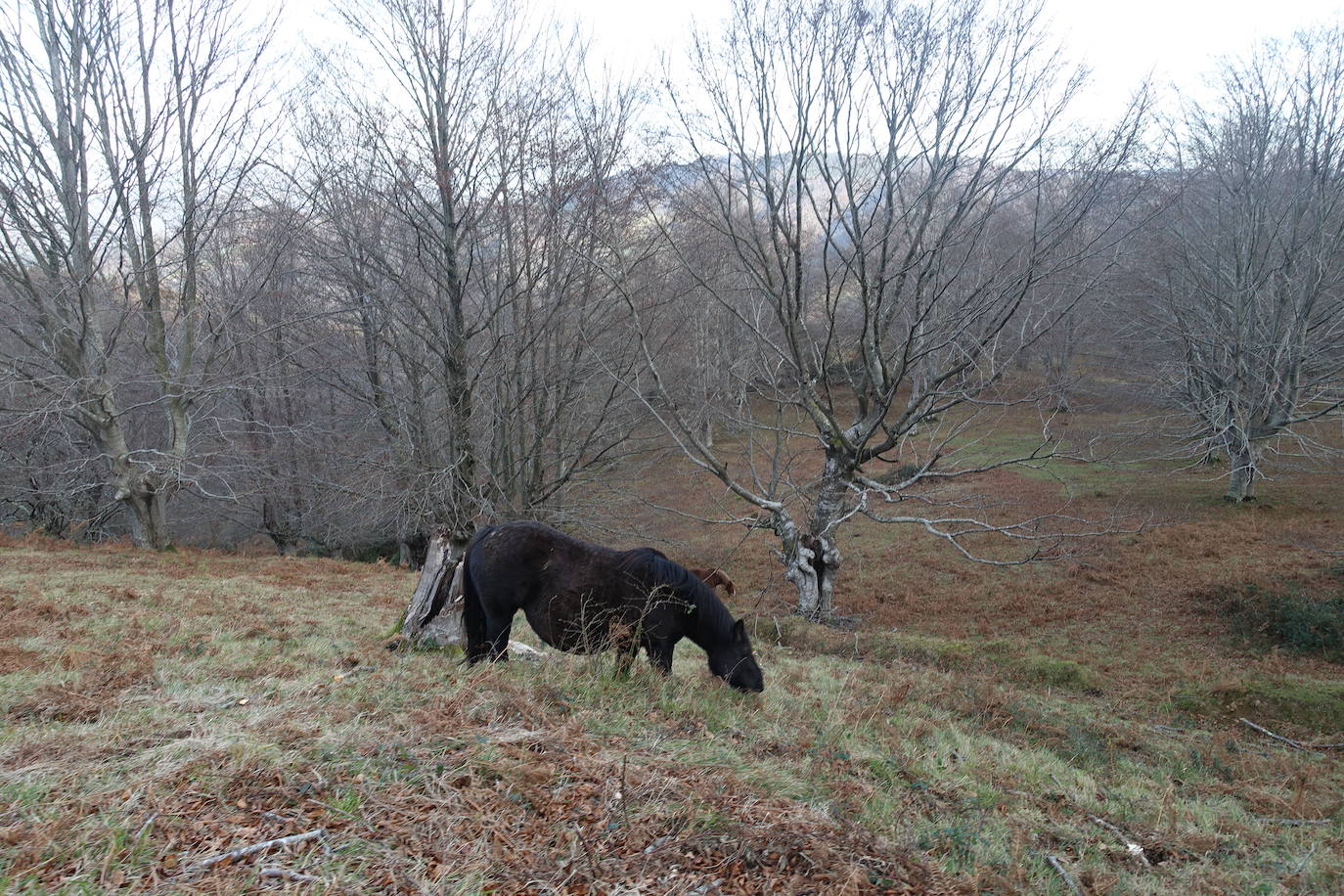 Fotos: Balerdi. El cobijo invernal de Hegoi