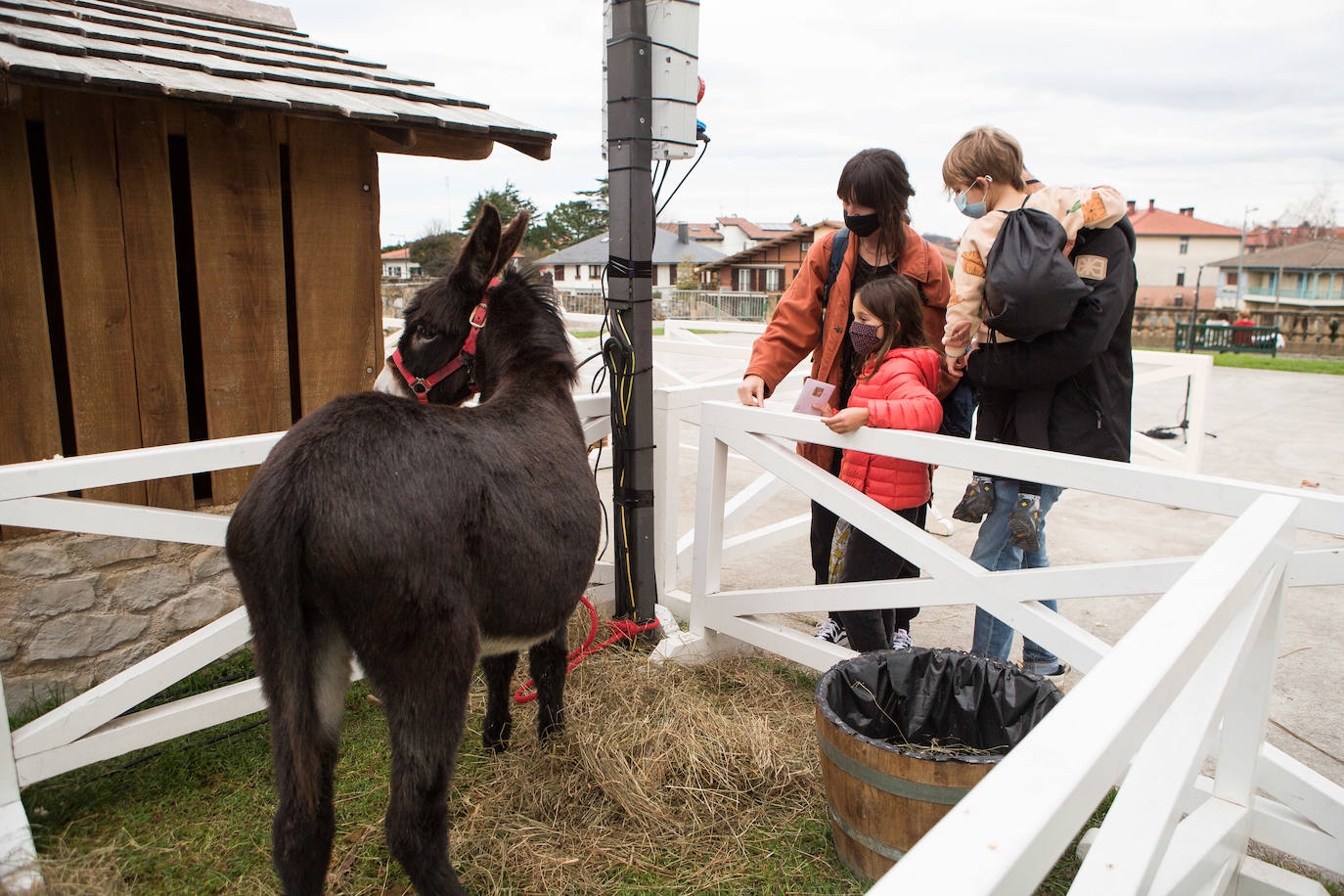 Fotos: Olentzero se deja ver en Irun y Hondarribia