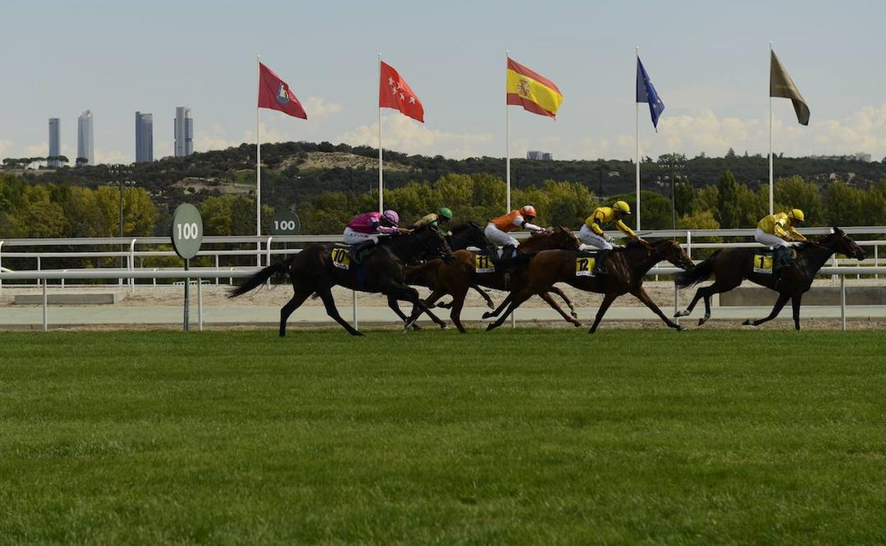 El hipódromo madrileño de La Zarzuela acogerá las últimas pruebas de 2021.