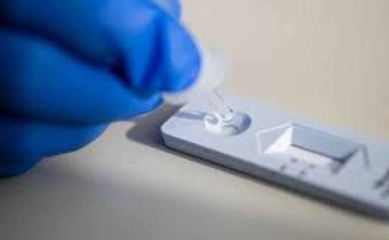 Coronavirus en Euskadi: Osakidetza cambia de modelo y hará más antígenos que PCR para confirmar los positivos