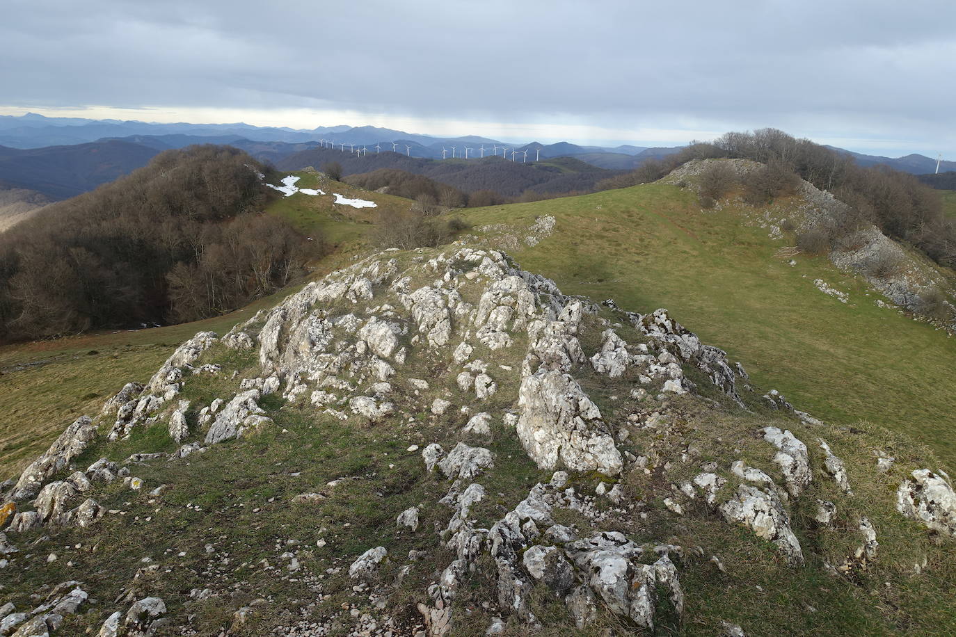 Fotos: Ireber. Paseo entre bosques mágicos