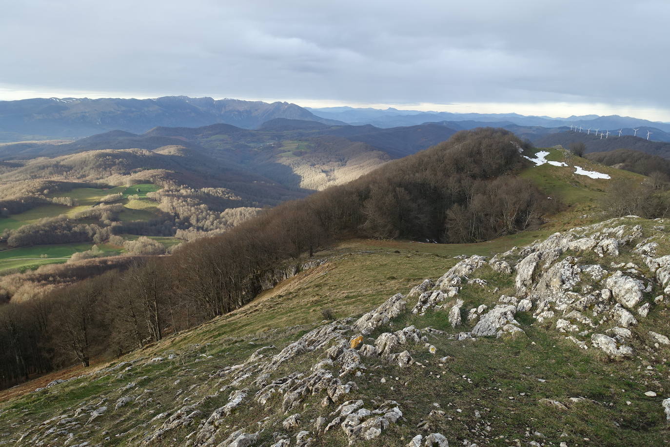Fotos: Ireber. Paseo entre bosques mágicos