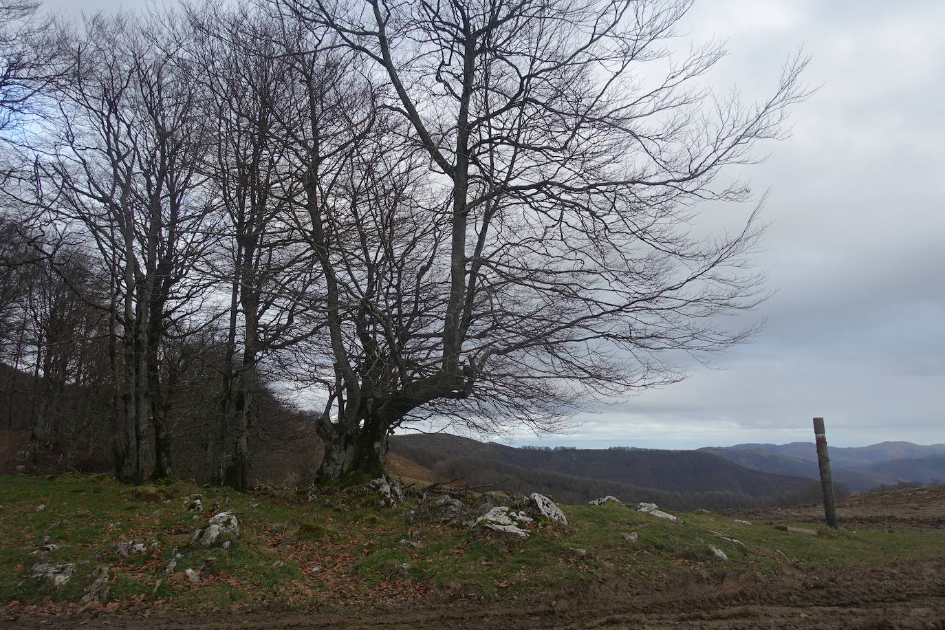 Fotos: Ireber. Paseo entre bosques mágicos